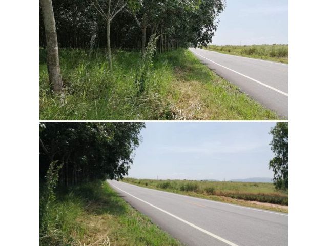 ขายที่ดิน40ไร่ เขาคันทรง อ.ศรีราชาจ.ชลบุรี หน้ากว้าง179เมตรติดถนนคอนกรีตไร่ละ1.5ล้าน ติดต่อคุณมังกร063-7894962(เน้นโทร)