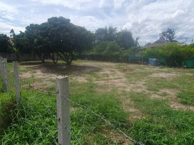 ขายที่ดินบ้านวัดหนองโบสดตำบลป่าไผ่สันทรายพร้อมโอน