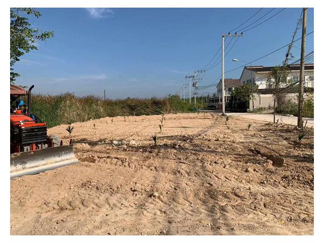 ขายที่ดิน ชะอำ ต่ำกว่าราคาประเมินกรมฯ 300,000 บาท หาดชะอำ700เมตร. ถมแล้ว ใกล้โครงการหมู่บ้าน น้ำประปาไฟฟ้าครบ