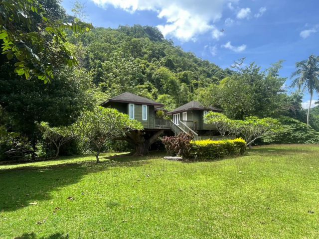 ขายที่ดินเขาใหญ่ หมูสี ติดถนนธนะรัชต์ ติดน้ำตะคลอง ติดเขา 46 ไร่ ที่สวยมาก ลำธารน้ำไหลล้อมรอบ ติดธนะรัชต์ ใกล้ทางขึ้นอุท