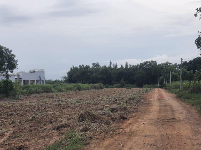 ขายที่ดินสด/ผ่อนเกาะขนุน 1 ไร่ เหมา 5.95 แสน เหมาะปลูกบ้านสวนใกล้ตลาด ชุมชนและคลอง พนมสารคาม ฉะเชิงเทรา