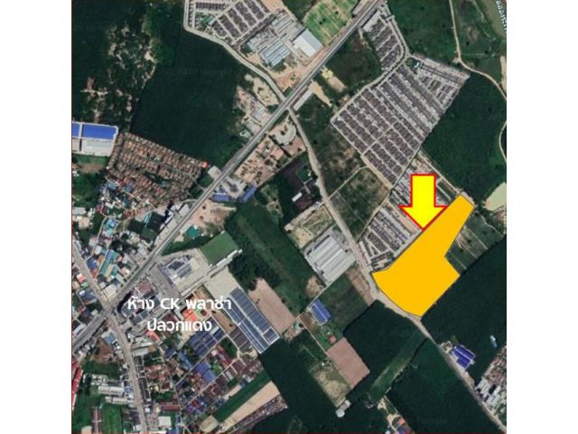 เสนอขายที่ดิน กลางเมืองปลวกแดง