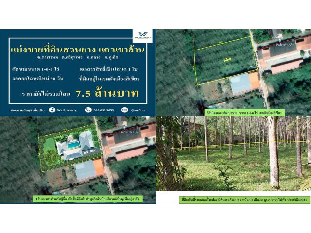 แบ่งขายที่ดินสวนยาง แถวเขาล้าน 1-0-0ไร่ ผังเมืองสีเขียว