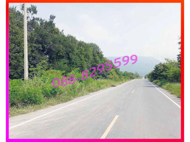 ►►► (เจ้าของขายเอง) ที่สวยติดถนนลาดยางซอย 21 โฉนด 2 ล็อคคู่ 45 ไร่ ขายถูกไร่ละ 2.5 แสนบาท