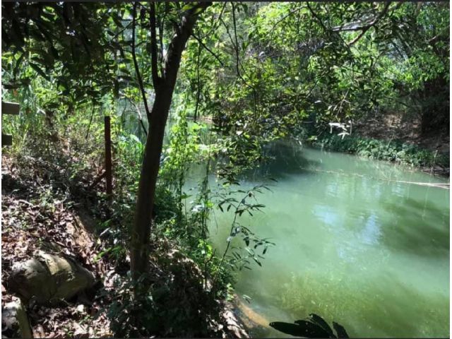 ขายที่เขาใหญ่ติดน้ำลำตะคอง 1 ไร่ ใกล้ถนนธนะรัชต์2.5 กม. ที่ริมน้ำสวยมาก หน้ากว้างติดลำธารน้ำไหล น้ำไฟพร้อม ในโครงการ เพื