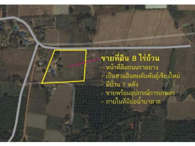 ขาย ที่ดิน ขายที่ดิน มีบ้าน 1 หลัง 2 ห้องนอน 2 ห้องน้ำสุขภัณฑ์อย่างดี - 8 ไร่