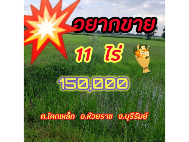 ขายที่ดินบุรีรัมย์ราคาถูก  11  ไร่  ต.โคกเหล็ก  อ.ห้วยราช  จ.บุรีรัมย์