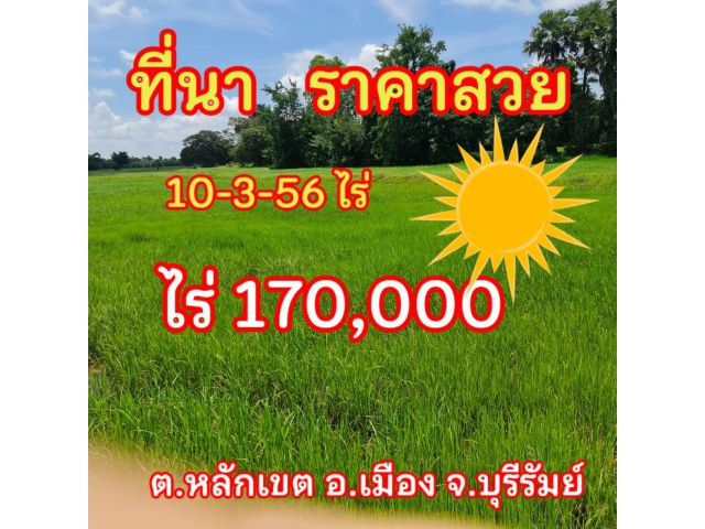 ขายที่ดินบุรีรัมย์ราคาถูก  10-3-56  ไร่  ต.หลักเขต  อ.เมือง จ.บุรีรัมย์