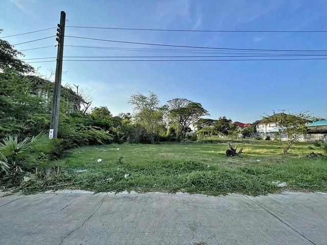 PLE141 ขายที่ดินเนื้อที่ 150 ตรว.อยู่ในหมู่บ้านเมืองทอง2 โครงการ4 ซอยพัฒนาการ69 ทำเลดีเดินทางสะดวก