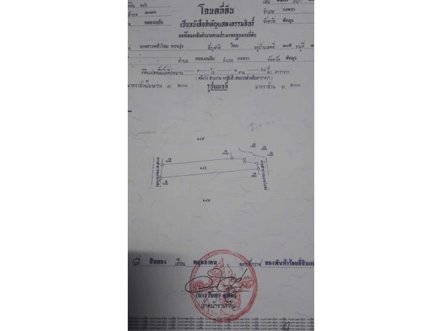 ขายสวนยาง