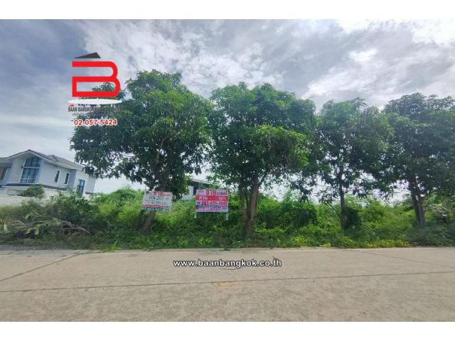 ที่ดินเปล่า ซอย บงกช 52 ใกล้แม็คโครคลองหลวง เนื้อที่ 301.5 ตรว ถนนพหลโยธิน อ.คลองหลวง จ.ปทุมธานี