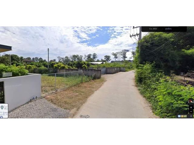 ขายที่ดินใกล้เทศบาลหนองผึ้งสารภีห่างถนนต้นยาง 250เมตร
