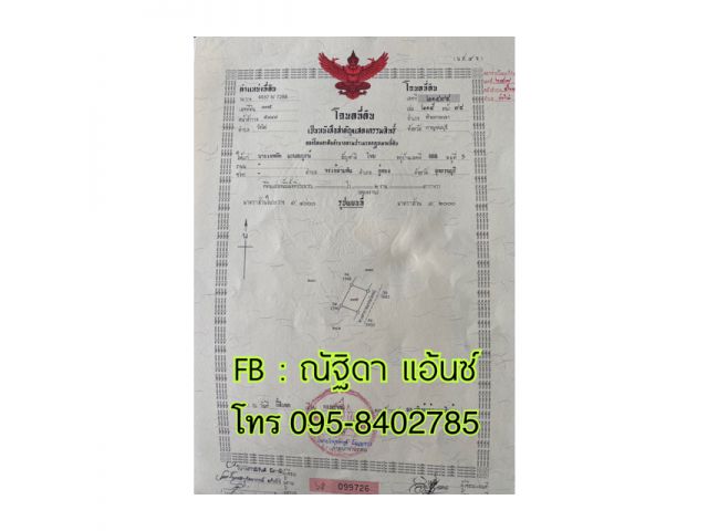 ขายที่ดิน 2 งาน โฉนดครุฑแดง  ราคาถูก 140,000บาท  ที่ดินเปล่า