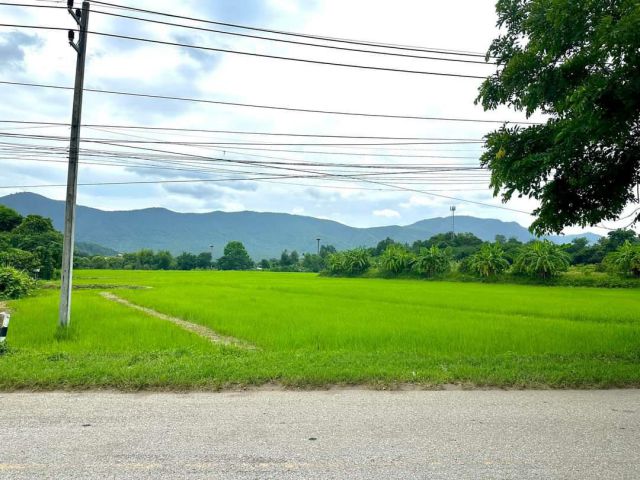 ขายที่ดินแม่ออนออนกลางติดถนนลาดยางวิวดอยพร้อมโอน