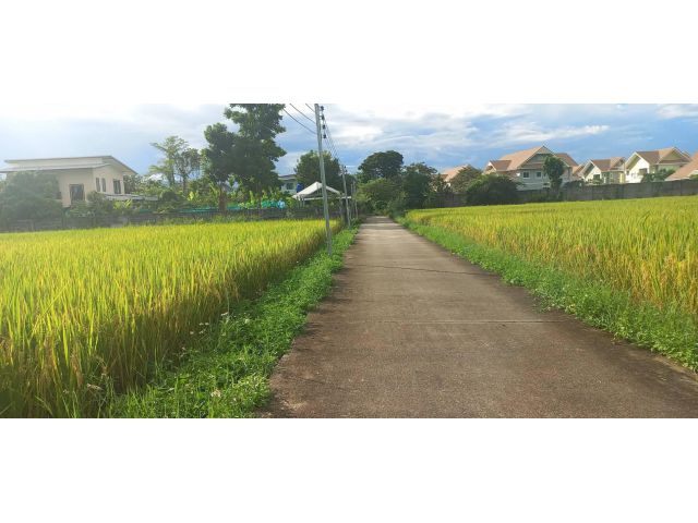 ขายที่ดินแปลงสวย ถมเรียบร้อย น้ำ ไฟ พร้อมสร้างย้านได้