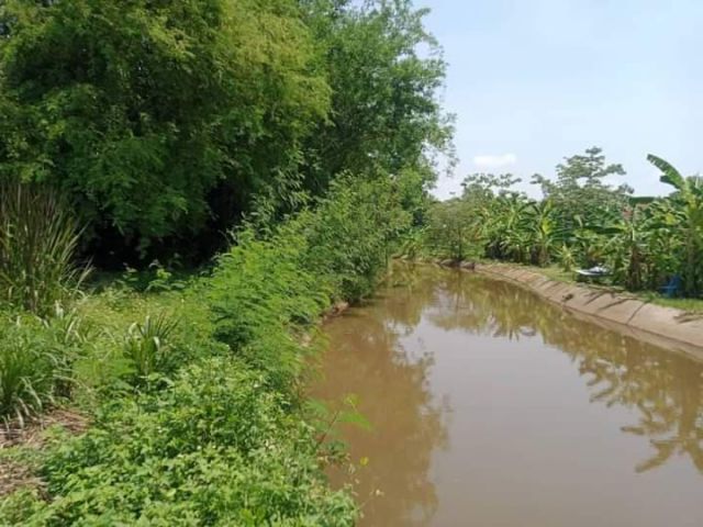 ขายที่ดินบ้านร้องขี้เหล็กเชิงดอยดอยสะเก็ตติดลำเหมืองพร้อมโอน