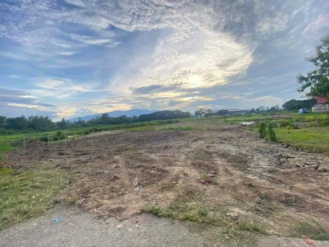 ขายที่ดินสันทรายหนองจ๊อมใกล้สำนักงานที่ดินสันทรายพร้อมโอน