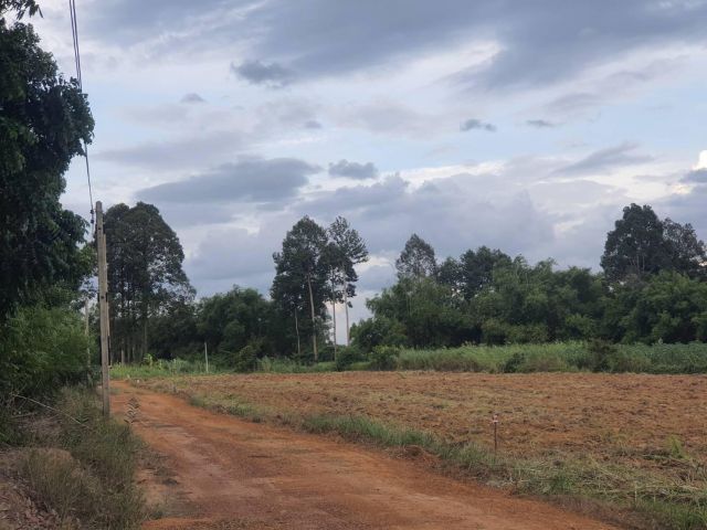 ต้องการความสงบ ร่มรื่นมีเพื่อนบ้านใกล้กรุงเทพ ราคาหลักแสนแต่ได้ที่ดิน 1 ไร่ เอาไหมพร้อมให้จองรีบก่อนหมด ราคาดีถูกสุดๆ พนมสารคาม ฉะเชิงเทรา
