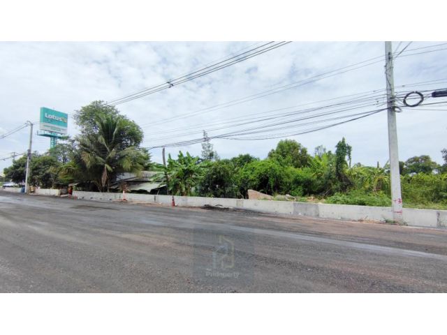 ขาย ที่ดิน 56 ไร่ ลำลูกกา คลอง 7 ปทุมธานี ติดถนนใหญ่ เข้าจาก ถ.ลำลูกกา เพียง 5 กม.