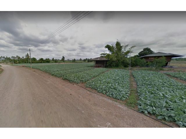 ขายที่ดินติดคลองน้ำ ตำบลคลองม่วง อำเภอปากช่อง 102-3-09 ไร่ เอกสารโฉนด ไร่ละ 850,000 บาท
