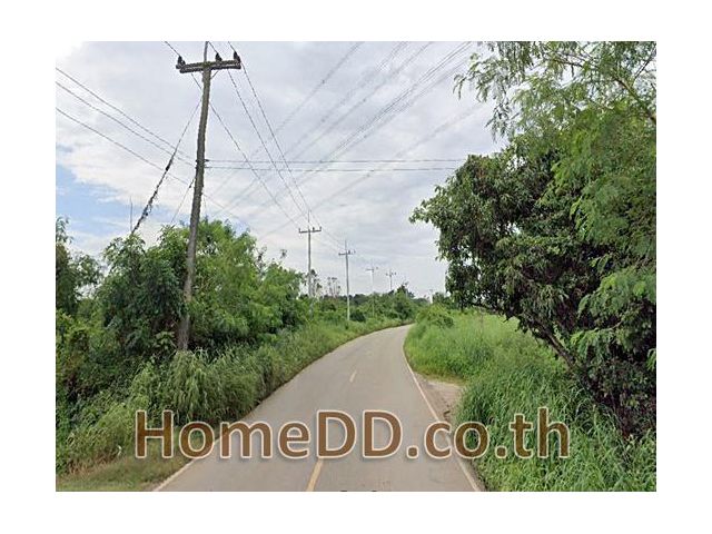 ที่ดินเปล่า ขายด่วน ถมแล้ว เนื้อที่ 10 ไร่ ลาดตะเคียง ปราจีนบุรี L-6395