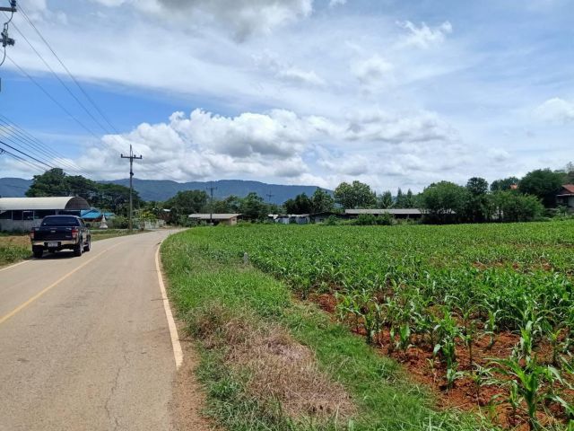 ขายที่เขาใหญ่ หมูสี 2 ไร่ ติดลาดยาง ที่สวย ลมดี วิวเขาใหญ่สวย ใกล้ธนะรัชต์ ใกล้เซว่นคลองดินดำ สระน้ำใส ปากช่อง ใกล้ทอสคา
