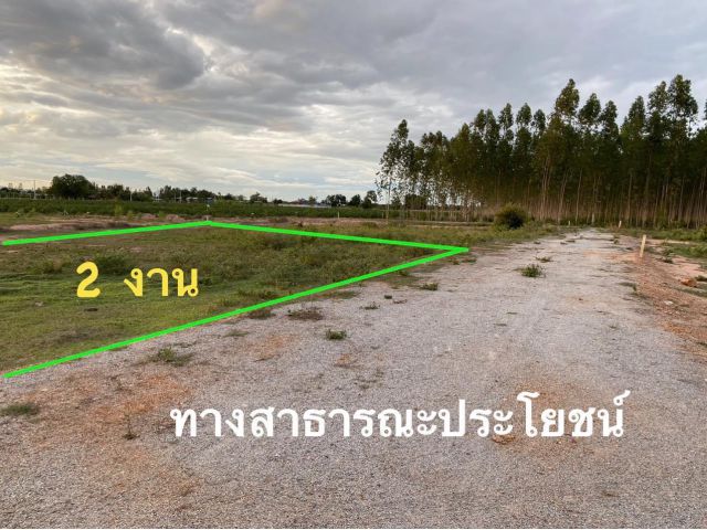 ขายที่ดินโฉนด 2 งาน ราคา140,000บาท โอนฟรี