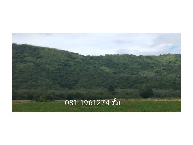 ขายที่ดิน เกษตร ใบ ภบท 5 รวม 80 ไร่ บนเนิน หน้าติดถนน  ท้ายติดชายเขา