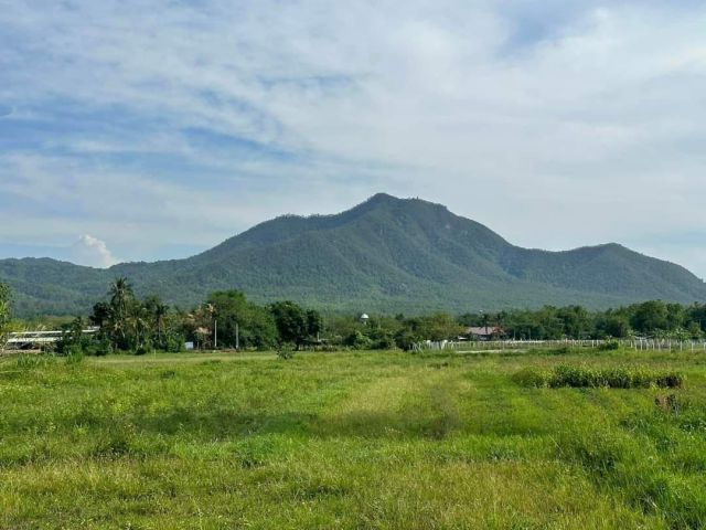 ขายที่นาวิวดอยแม่ออน สันกำแพงบ้านวากติดถนนสองด้านราคาถูก