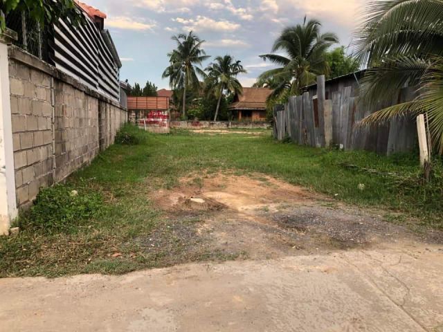 ขายที่ดินสันทรายหนองจ๊อมถมดินเรียบร้อยน้ำไฟพร้อมโอน