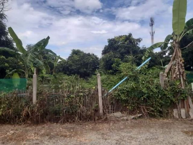 ขายที่ดินตำบลน้ำแพร่หางดงทำเลดีโฉนดพร้อมโอนราคาถูก