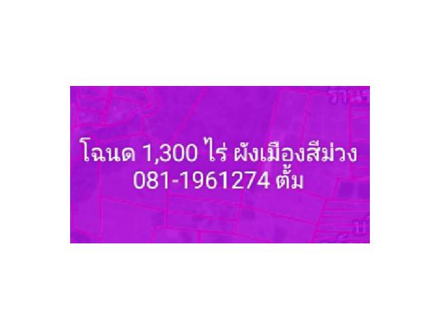 ขายที่ดินโฉนด 1,300 ไร่ ผังสีม่วง ไฟฟ้าสามเฟส พร้อม