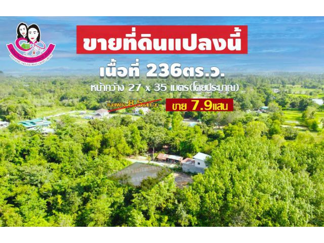 ขายที่ดิน 236ตร.ว. นาดูนน้อย ต.ขามใหญ่ อ.เมือง จ.อุบลราชธานี