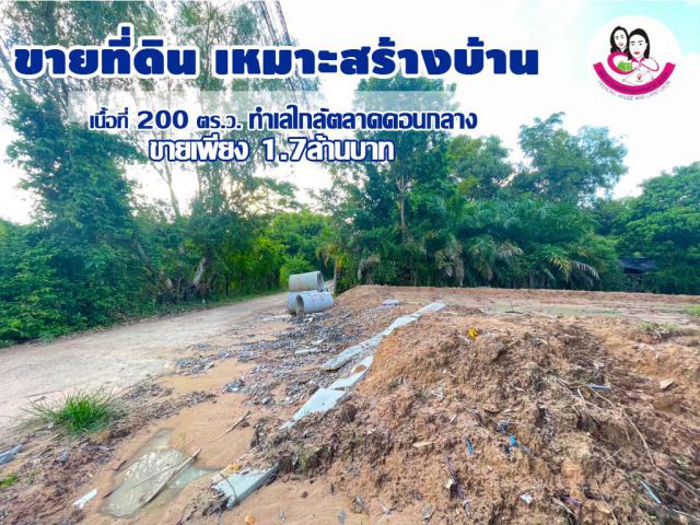 ขายที่ดิน โซนถนนคลังอาวุธ ต.ขามใหญ่ อ.เมือง จ.อุบล