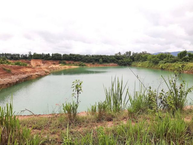 ขายที่ดินตรงข้ามสวนนงนุชแม่โจ้พร้อมบ่อน้ำพร้อมโอน