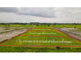 ที่ดินแบ่งขาย 1 ไร่ มีโฉนด ขายยกแปลง 450,000 บาท พร้อมโอน เหลือเพียง 3 แปลง หลัง รพ.ปากพลี