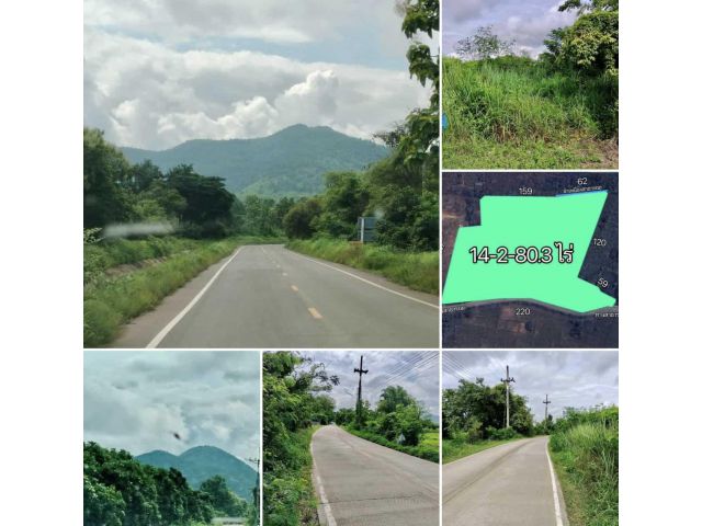 ขายที่ดิน 14-2-80.3 ไร่ ในเมืองลำพูน