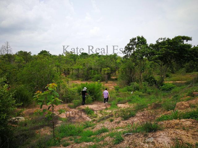 ขายที่ดินสวยติดแม่น้ำมูลทั้งผืน อำเภอพิบูลมังสาหาร อากาศเย็นสบายทั้งปีหน้าที่ดินเป็นถนนคอนกรีตเทใหม่เอี่ยม (เจ้าของ)