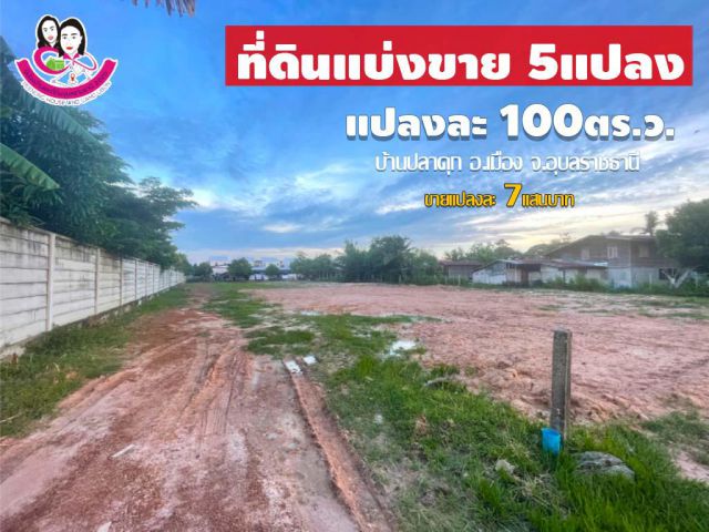 ที่ดินเปล่าแบ่งขาย 5แปลง เหมาะสร้างบ้านพักอาศัย ใกล้หมู่บ้านสารินโนว่า โนนหงส์ทอง