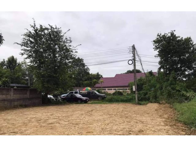 ขายที่ดินหลังวัดกองทรายหนองผึ้งสารภีพร้อมโอน
