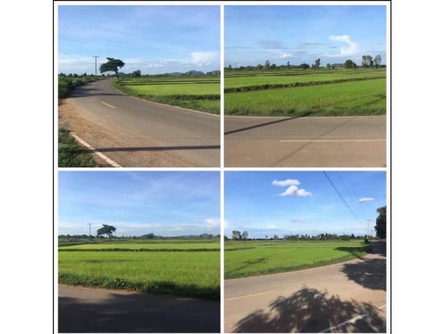 ++ที่ดินโฉนดวิวสวย 1-2-44 ไร่ติดถนนลาดยาง 100 เมตร วิวทุ่งนา โล่ง โปร่งสบาย