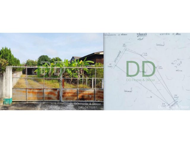 DD#0014 ขายที่ดิน 234 ตร.วา พร้อมบ้านสวนมีผู้เช่า บ้านสันคะโจ้ ซอย 25 สันทรายหลวง