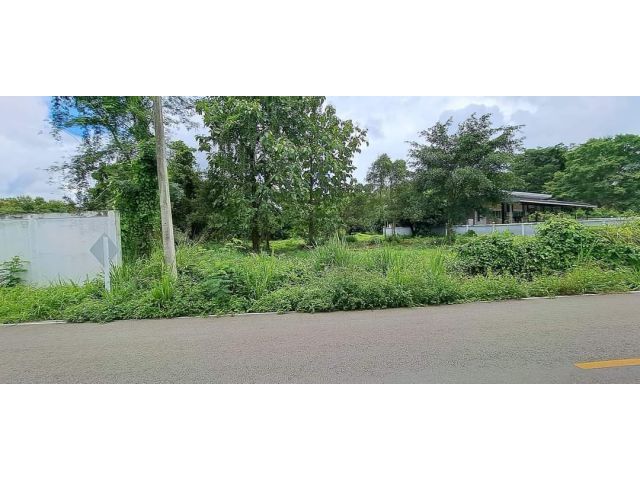 ขายที่ดินตำบลน้ำแพร่ติดถนนก่อนถึงอุทยานออบขานพร้อมโอน