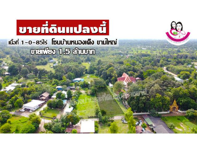 ที่ดิน 1-0-85 ไร่ พิกัดบ้านหนองเค็ง ต.ขามใหญ่ อ.เมือง จ.อุบล