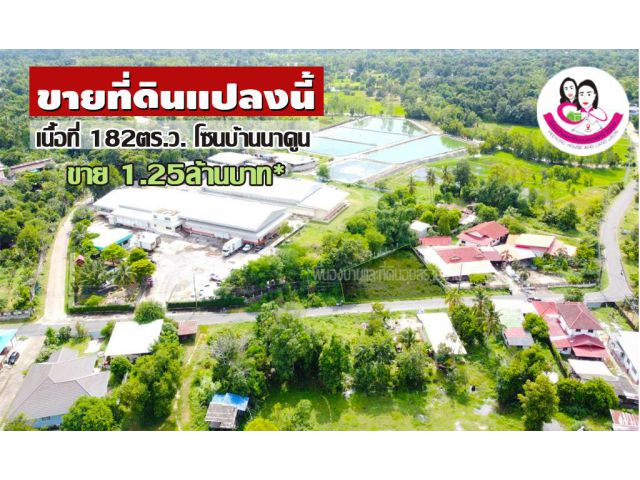 ขายที่ดินเปล่า 182 ตร.ว. บ้านนาดูน ต.ขามใหญ่ อ.เมืองอุบลราชธานี