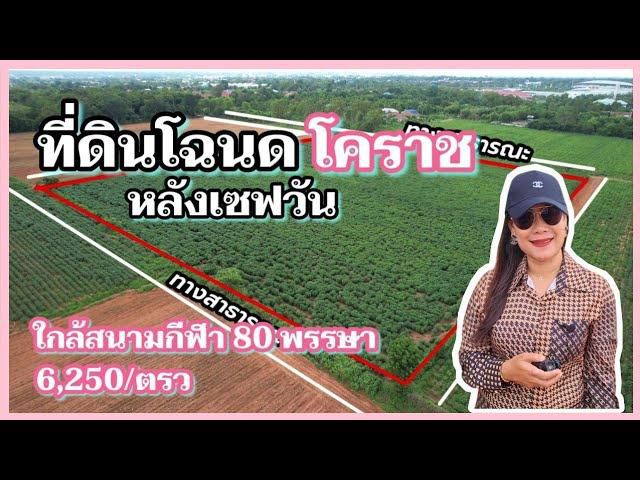 ╰┈►► ขายที่ดิน โฉนด หลังเซฟวันโคราช ตรวละ 6,250 ใกล้สนามกีฬา 18ไร่