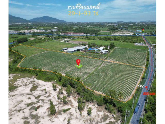 ขายที่ดินบ้านบึง 29-1-93 ไร่ หนองบอนแดง ผังสีเหลือง เข้าออกได้หลายทาง เหมาะสร้างโรงงาน ที่ดิน ด้านหน้าติดถนน ยาว 130 ม.