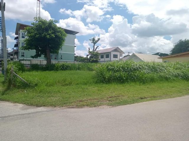 ขายที่ดินตรงข้ามโลตัสคำเที่ยงตำบลป่าตันพร้อมโอน