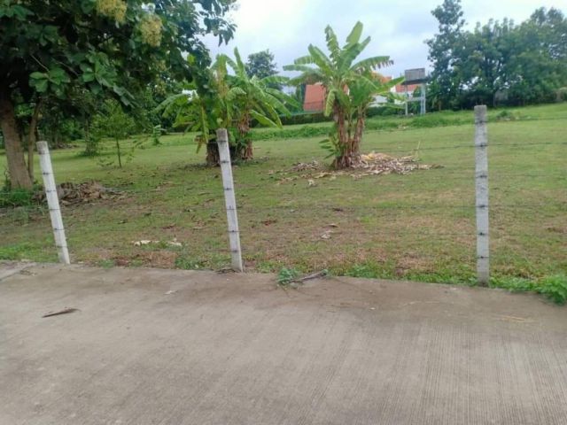 ขายที่ดินตำบลน้ำแพร่หางดงติดถนนคอนกรีตพร้อมโอน