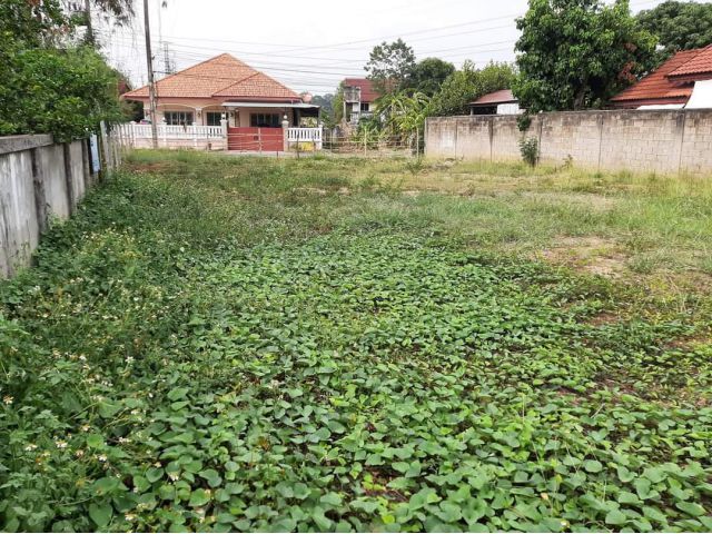 ขายที่ดินตำบลหนองผึ้งสารภีติดถนนสองด้านพร้อมโอน